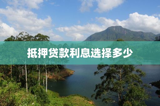 抵押贷款利息选择多少