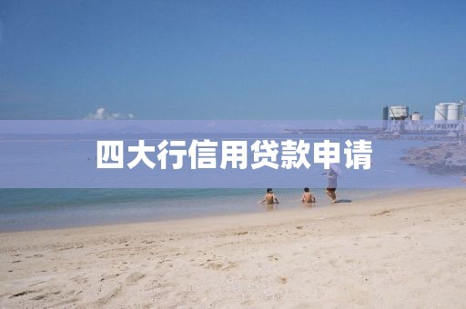 四大行信用贷款申请