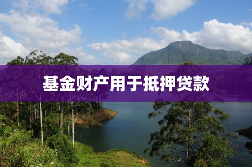 基金财产用于抵押贷款
