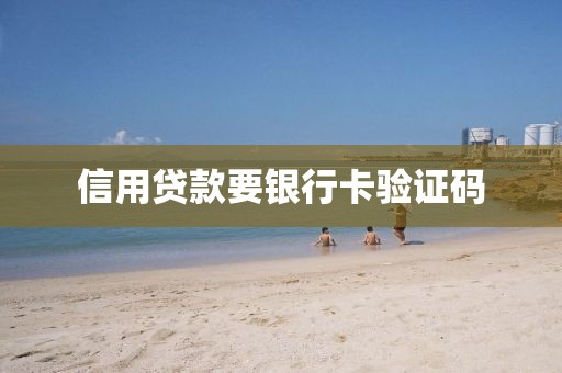 信用贷款要银行卡验证码