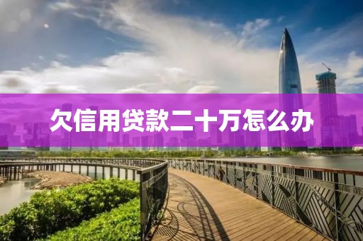 欠信用贷款二十万怎么办