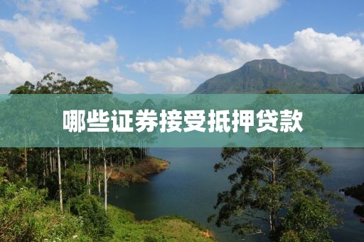哪些证券接受抵押贷款