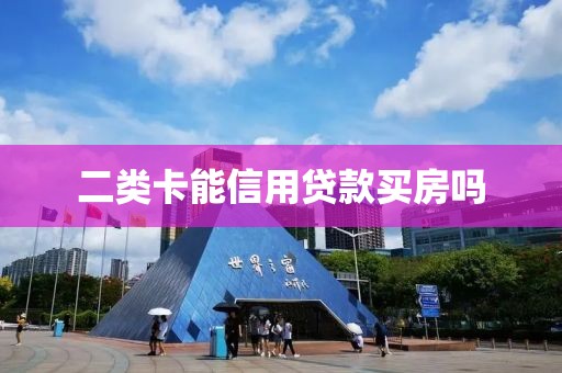 二类卡能信用贷款买房吗