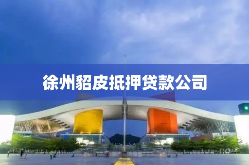 徐州貂皮抵押贷款公司
