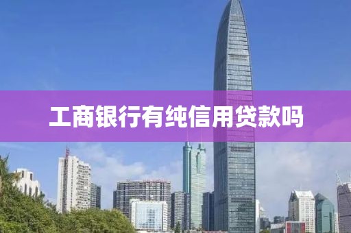 工商银行有纯信用贷款吗