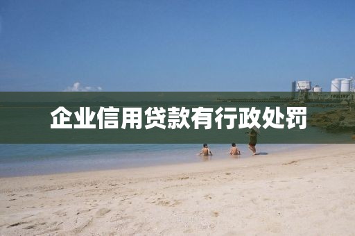 企业信用贷款有行政处罚