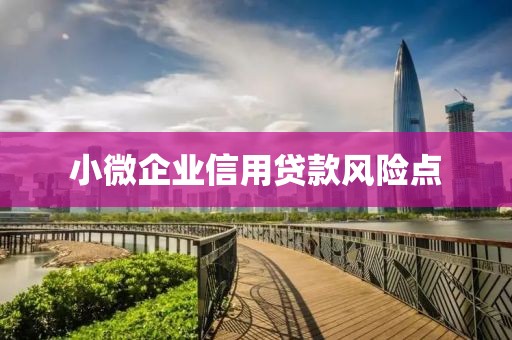 小微企业信用贷款风险点
