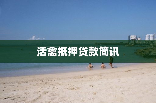 活禽抵押贷款简讯