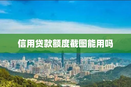 信用贷款额度截图能用吗