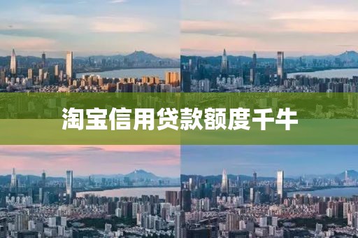 淘宝信用贷款额度千牛