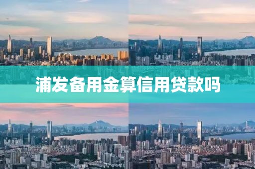 浦发备用金算信用贷款吗