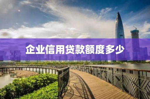 企业信用贷款额度多少