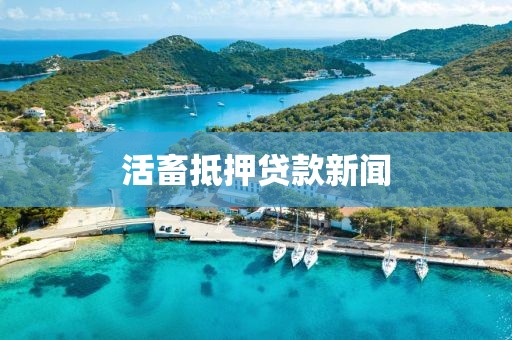 活畜抵押贷款新闻