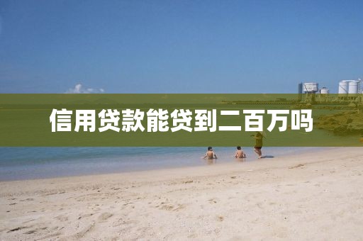 信用贷款能贷到二百万吗