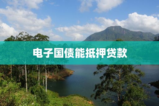 电子国债能抵押贷款