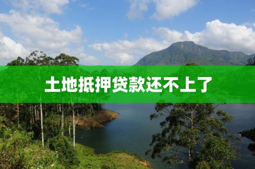 土地抵押贷款还不上了