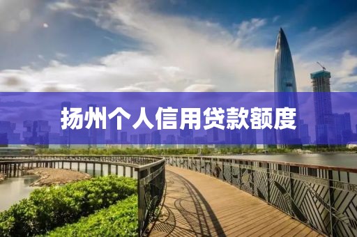 扬州个人信用贷款额度