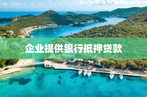 企业提供银行抵押贷款