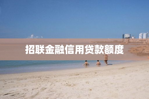 招联金融信用贷款额度