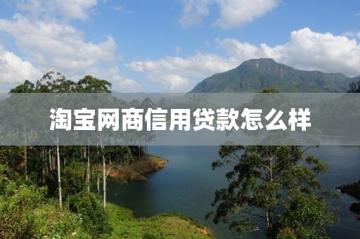 淘宝网商信用贷款怎么样