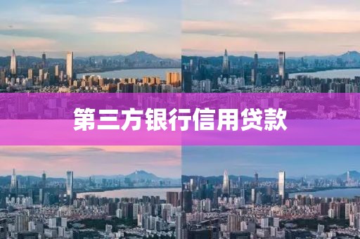第三方银行信用贷款