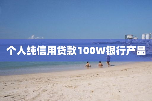 个人纯信用贷款100W银行产品