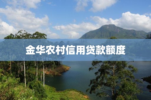 金华农村信用贷款额度