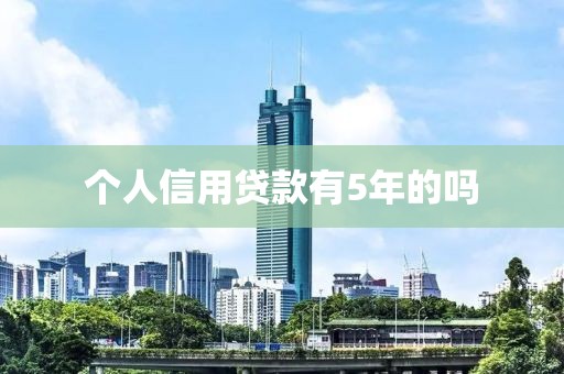 个人信用贷款有5年的吗