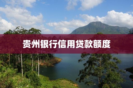 贵州银行信用贷款额度