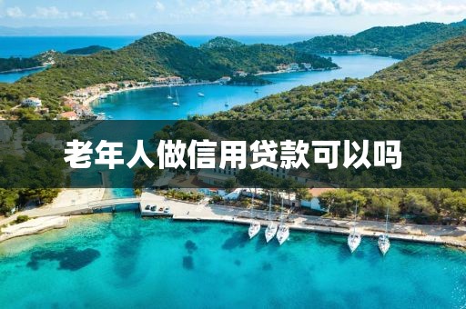 老年人做信用贷款可以吗