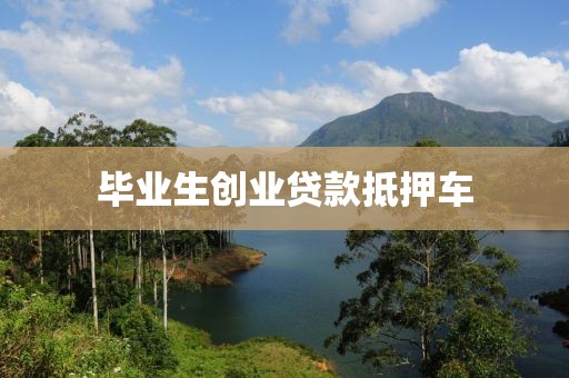 毕业生创业贷款抵押车