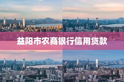 益阳市农商银行信用贷款