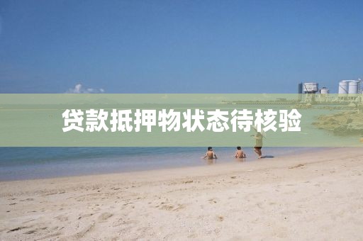 贷款抵押物状态待核验