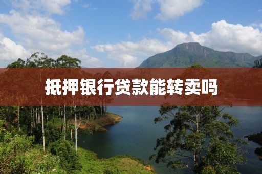 抵押银行贷款能转卖吗