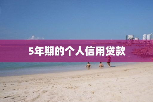 5年期的个人信用贷款