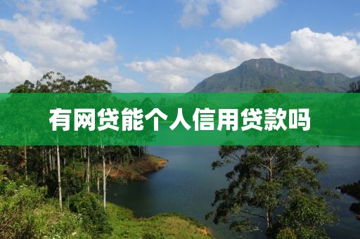有网贷能个人信用贷款吗