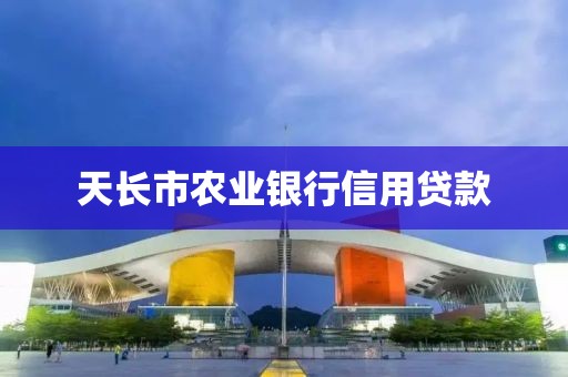 天长市农业银行信用贷款