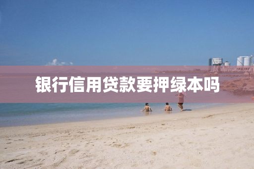 银行信用贷款要押绿本吗