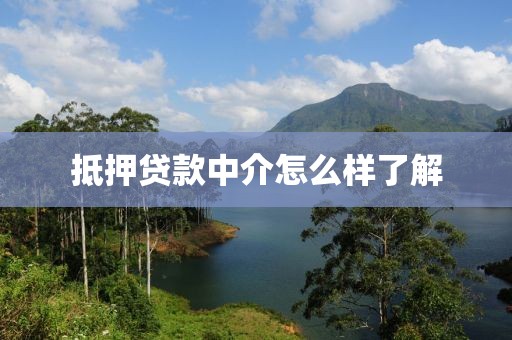 抵押贷款中介怎么样了解
