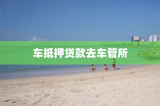 车抵押贷款去车管所
