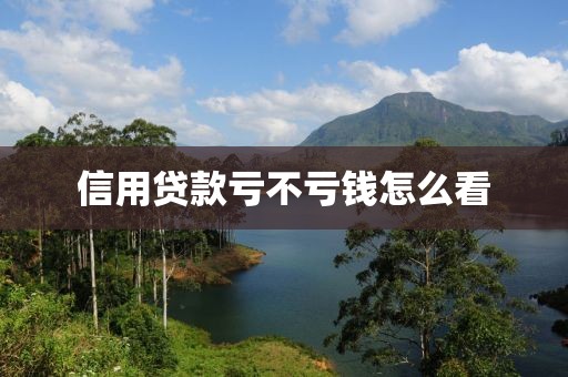 信用贷款亏不亏钱怎么看
