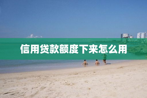 信用贷款额度下来怎么用