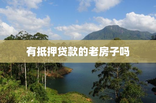 有抵押贷款的老房子吗