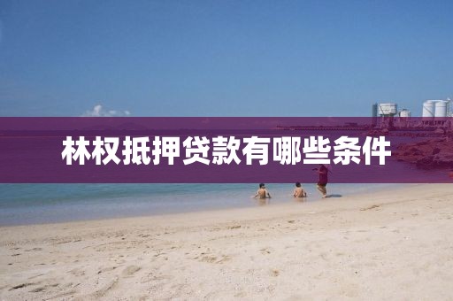 林权抵押贷款有哪些条件
