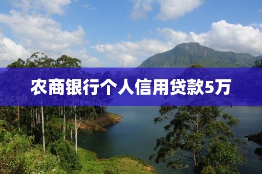 农商银行个人信用贷款5万