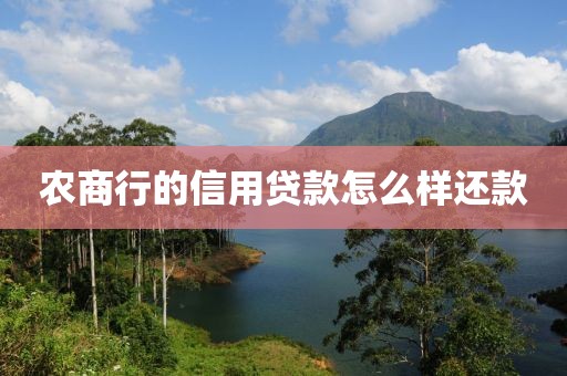 农商行的信用贷款怎么样还款