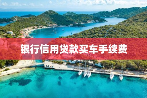 银行信用贷款买车手续费