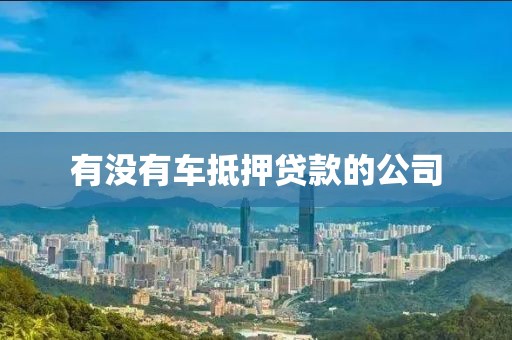 有没有车抵押贷款的公司