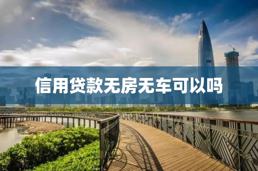 信用贷款无房无车可以吗
