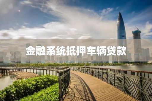 金融系统抵押车辆贷款